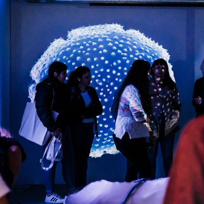 The applications for the Master's Degree in Media Arts at the University of Minho are open