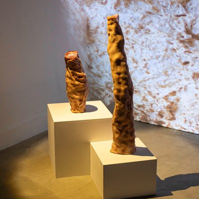New edition of Pós-Laboratórios de Verão explores the boundaries between the human and the more-than-human